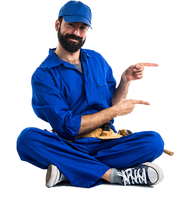 professional pest control 